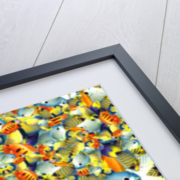 Kaleidoscope Fish Tile, 2016 by Robyn Parker