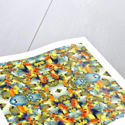 Kaleidoscope Fish Tile, 2016 by Robyn Parker