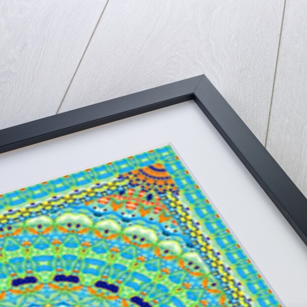 Tropical Fish Wheel Tile, 2016 by Robyn Parker