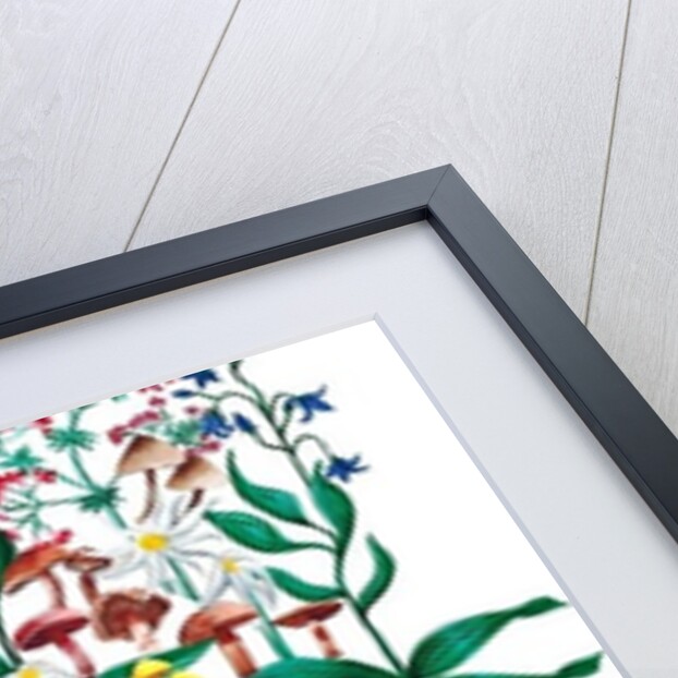 Wild Plants, 2015 acrylic by Charlotte Orr