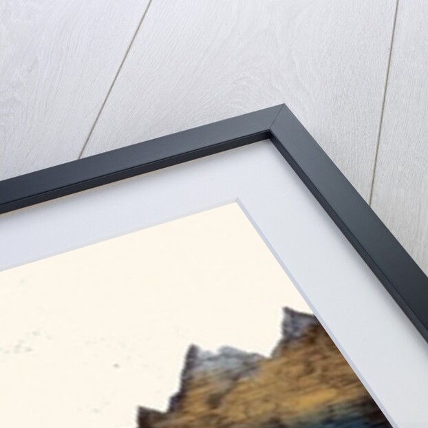 And the Mountains Echoed, 2013 by Charlotte Orr