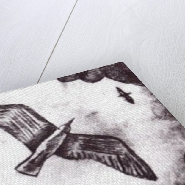 The Seagull's Tale, 2012 by Charlotte Orr