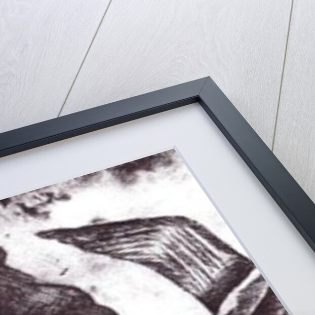 The Seagull's Tale, 2012 by Charlotte Orr