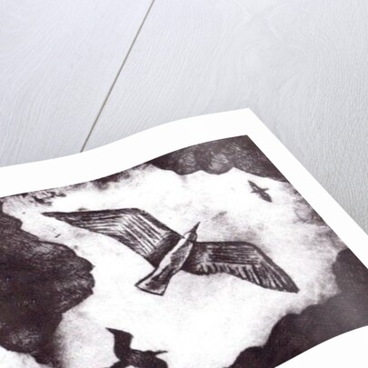 The Seagull's Tale, 2012 by Charlotte Orr