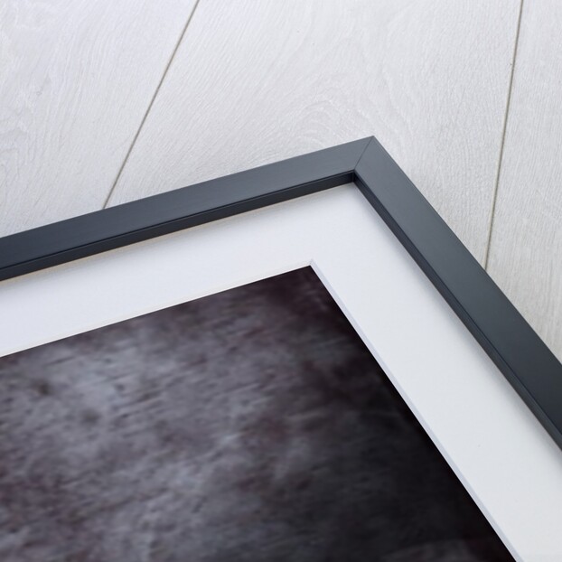 Under Milk Wood, 2013 by Charlotte Orr