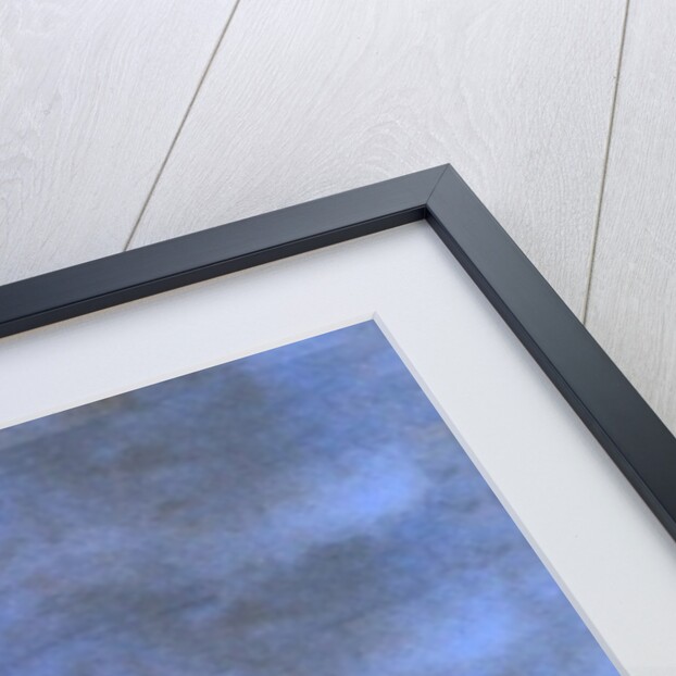 Bluebeard's Castle, 2013 by Charlotte Orr