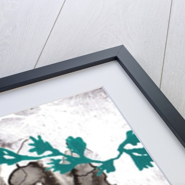 Secret 7, 2014 by Charlotte Orr