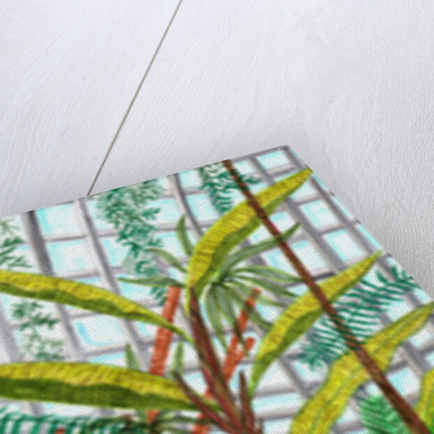 Botanic Garden, 2017 by Charlotte Orr