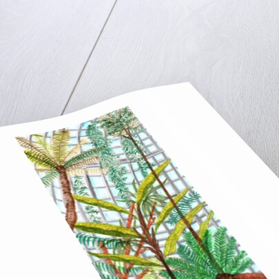 Botanic Garden, 2017 by Charlotte Orr