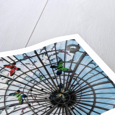 Butterfly cage, 2014 by Ant Smith