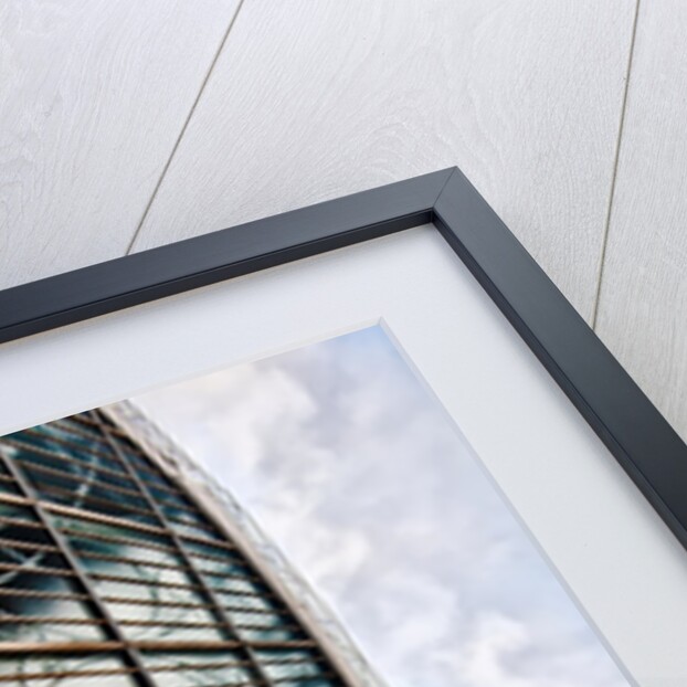 Fencing Mask, 2014 by Ant Smith