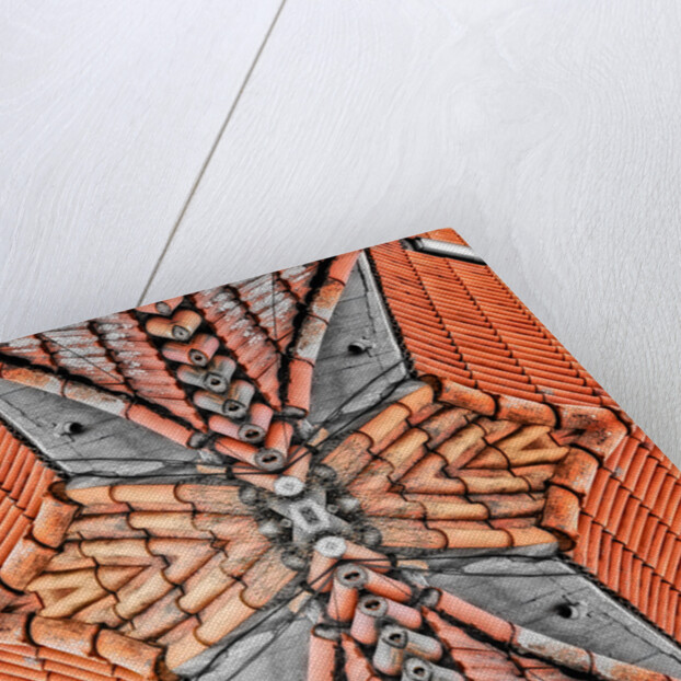 Terracotta Roofs, 2015 by Ant Smith