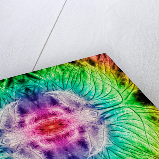 Rainbowed Plant, 2015 by Ant Smith