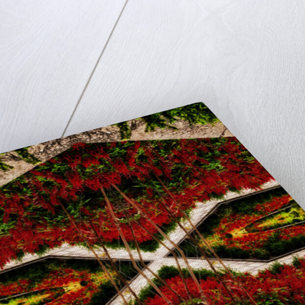 Red Flower Bed, 2015 by Ant Smith