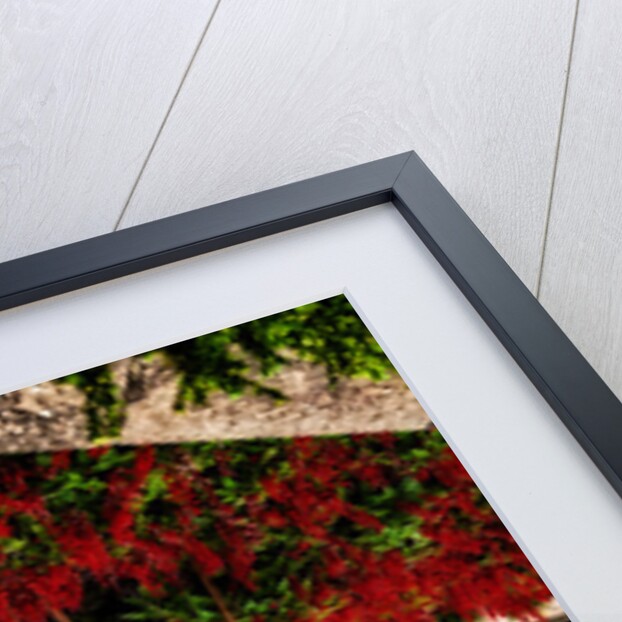 Red Flower Bed, 2015 by Ant Smith