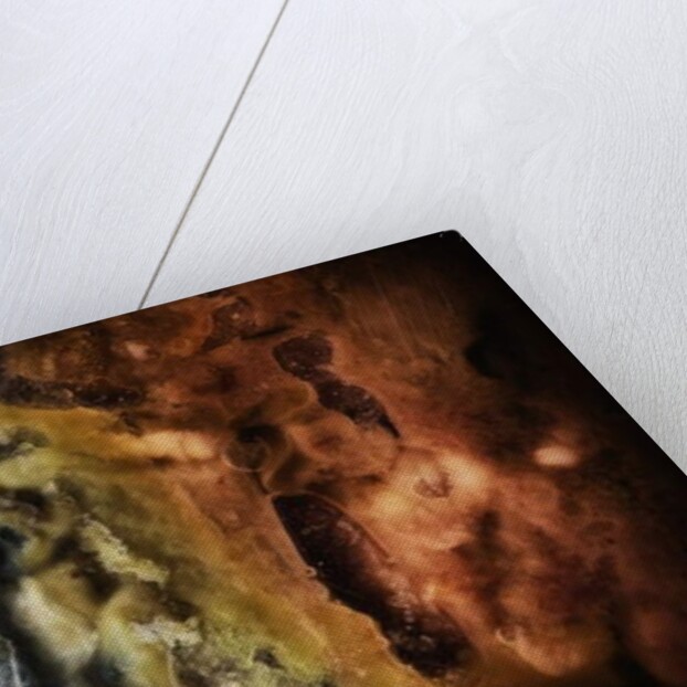 Other Worlds No 4 - Patterns in Old Food, 2019 by Ant Smith