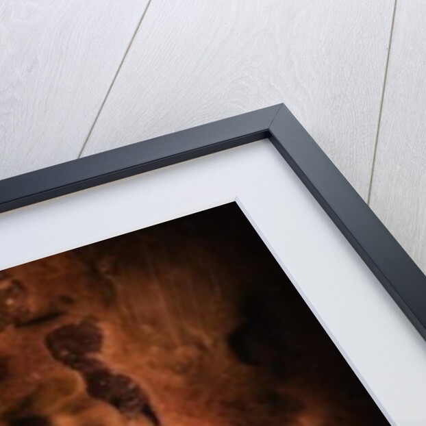 Other Worlds No 4 - Patterns in Old Food, 2019 by Ant Smith