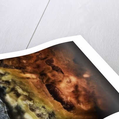 Other Worlds No 4 - Patterns in Old Food, 2019 by Ant Smith