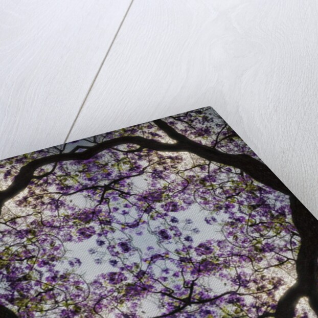 Lilac Tree, 2015 by Ant Smith