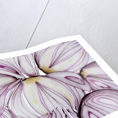 Red Onion Slices, 2020 by Ant Smith