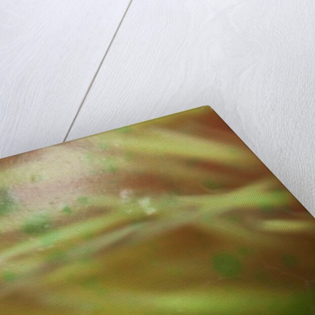 Nesting by K.B. White