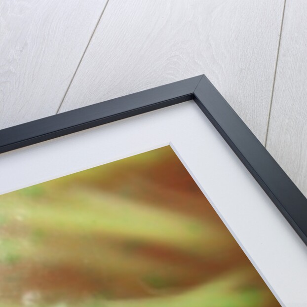 Nesting by K.B. White