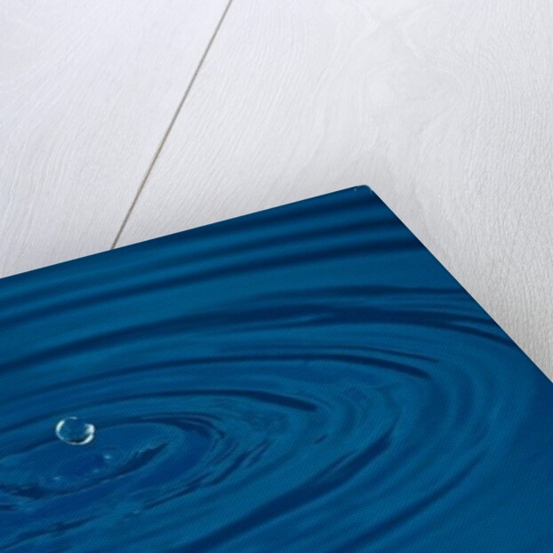 Disturbance by K.B. White