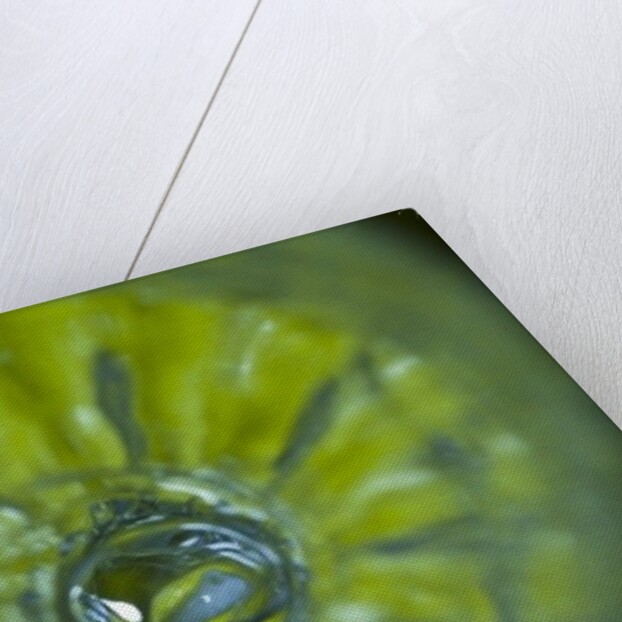 Swirl III by K.B. White