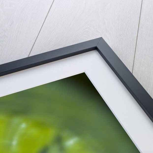 Swirl III by K.B. White