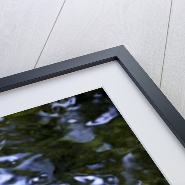 Liquid by K.B. White