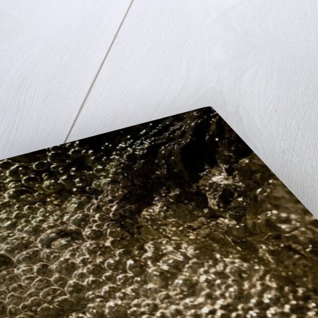 Bubbles by K.B. White