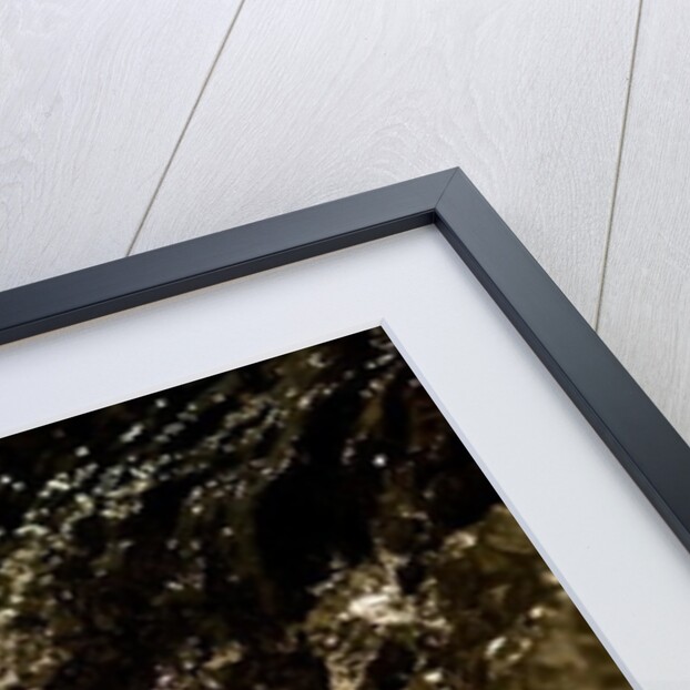 Bubbles by K.B. White