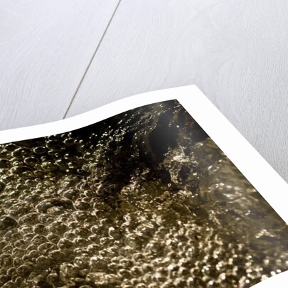 Bubbles by K.B. White