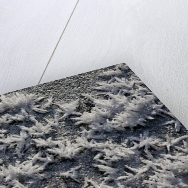 Snow and Ice by K.B. White