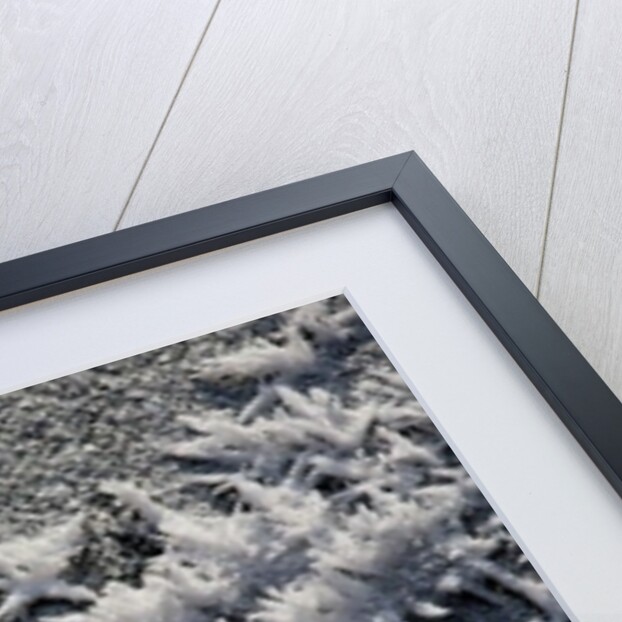 Snow and Ice by K.B. White