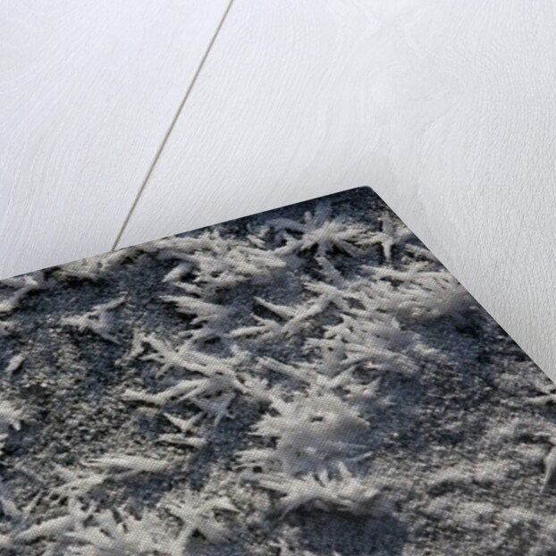 Snow and Ice II by K.B. White