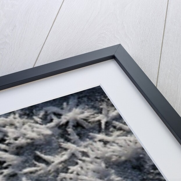 Snow and Ice II by K.B. White