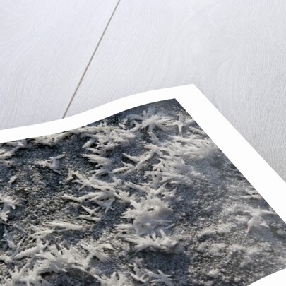 Snow and Ice II by K.B. White