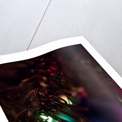 Hidden by K.B. White