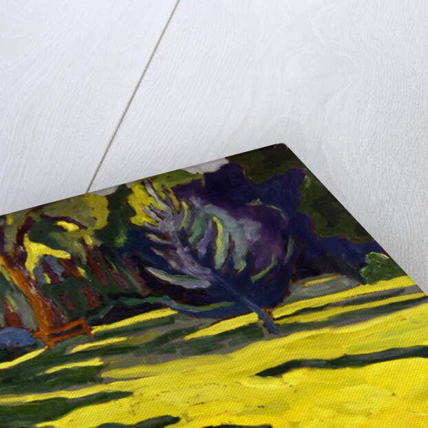 In the Park, 2008 by Marta Martonfi-Benke