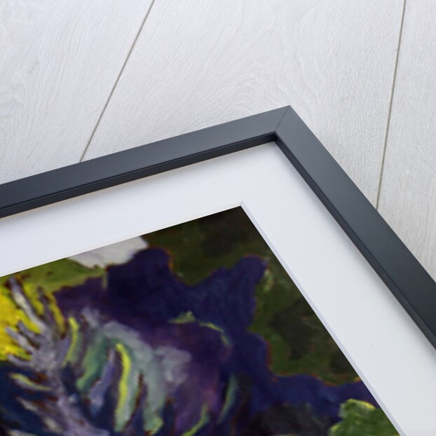 In the Park, 2008 by Marta Martonfi-Benke