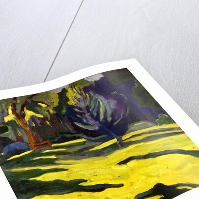 In the Park, 2008 by Marta Martonfi-Benke