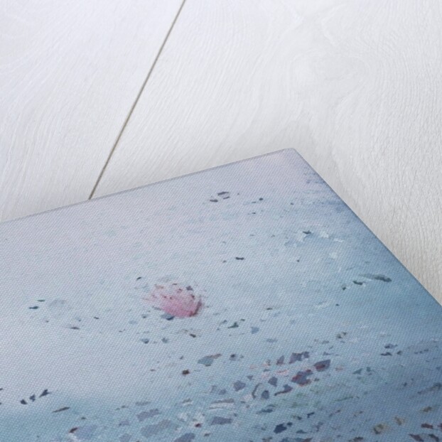 Lotus, 2011 by Luke Elwes