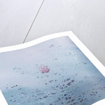 Lotus, 2011 by Luke Elwes