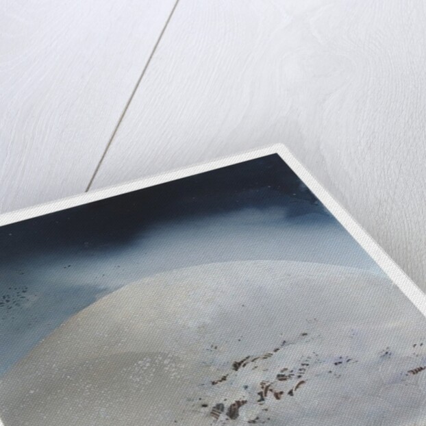 Stardust, 2010 by Luke Elwes