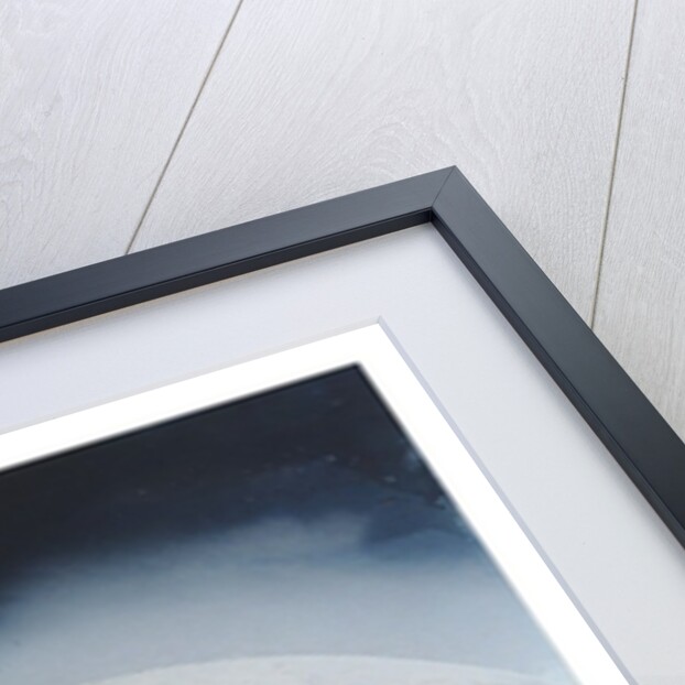 Stardust, 2010 by Luke Elwes