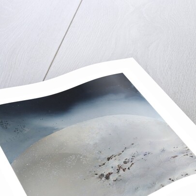 Stardust, 2010 by Luke Elwes