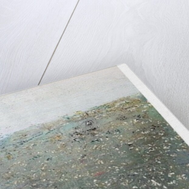 Autumn, 2010 by Luke Elwes