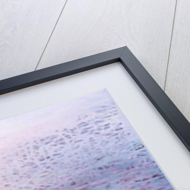 Ganga 15, 2018 by Luke Elwes