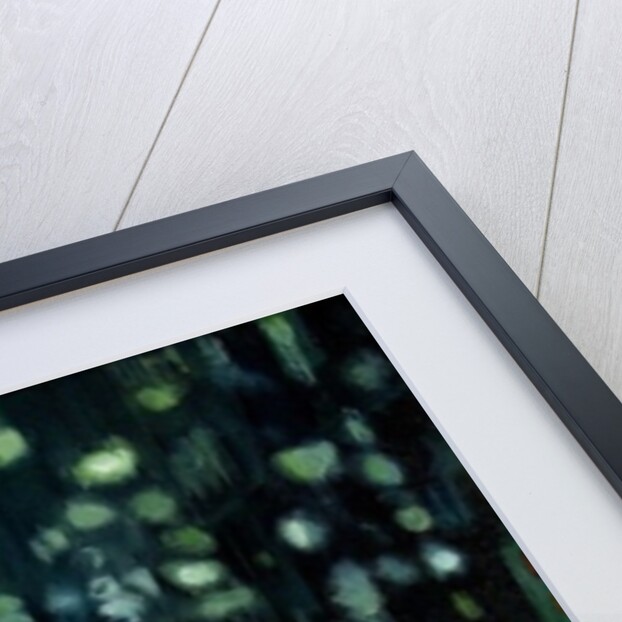 Soft Machine, 2007 by Martin Mossop